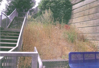 Yate Station - before